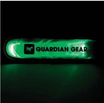 Lime Green Safety Collar Light