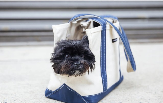 Wag Wear Boat Canvas Carrier - Classic Blue Large