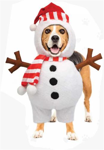 Frostin' Powers Dog Holiday Costume-Med