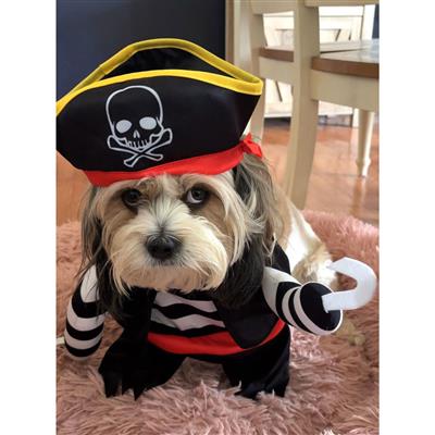 Black Paw-Irate - Dog Costume-XS