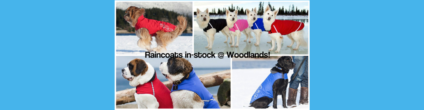 Dog Raincoats at Woodlands Pet