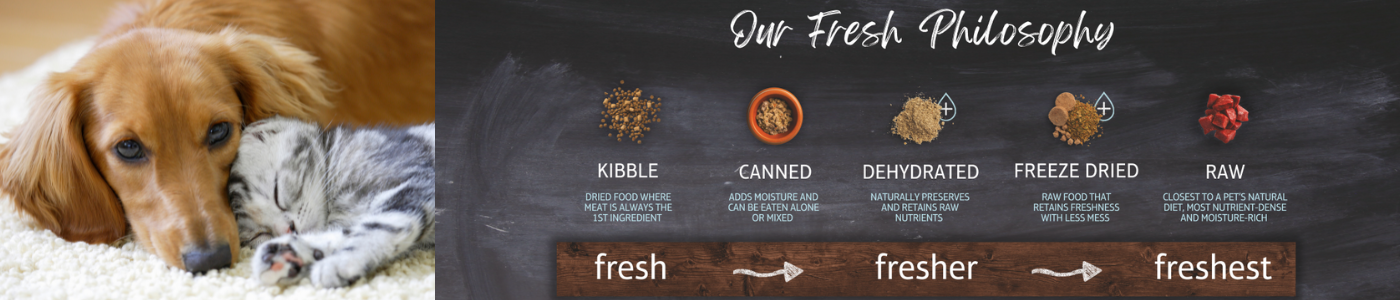 background banner