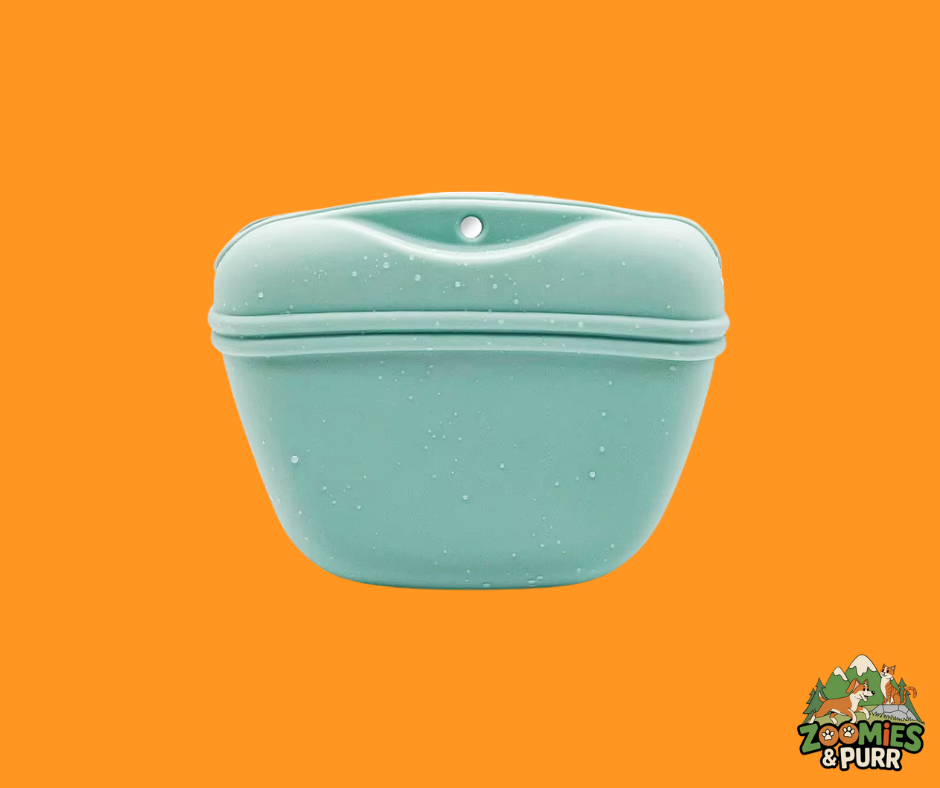 Sierra Silicone Treat Pouch - Seafoam