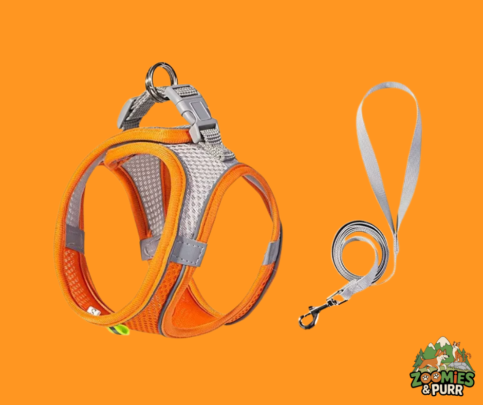 Sierra Cat Harness Orange - Small