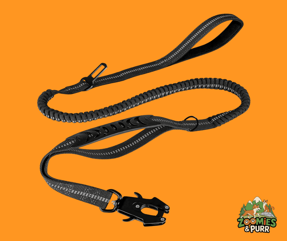 Sierra Tactical Leash - Black