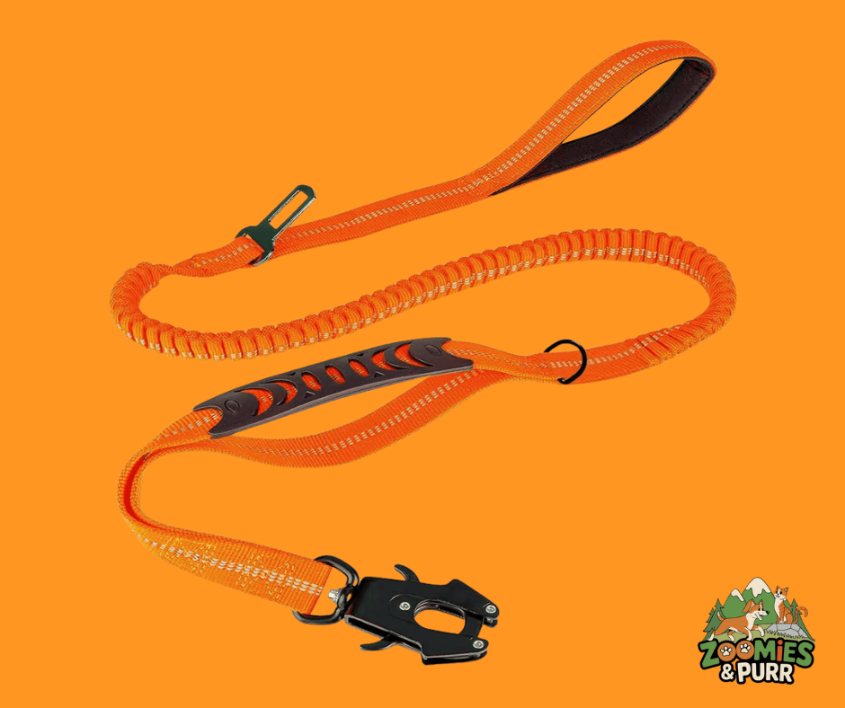 Sierra Tactical Leash - Blazing Orange