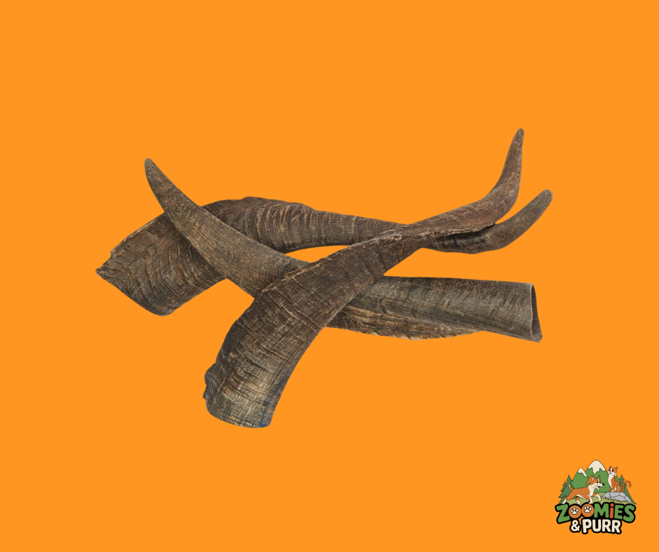 Sierra Free Range Single Goat Horn