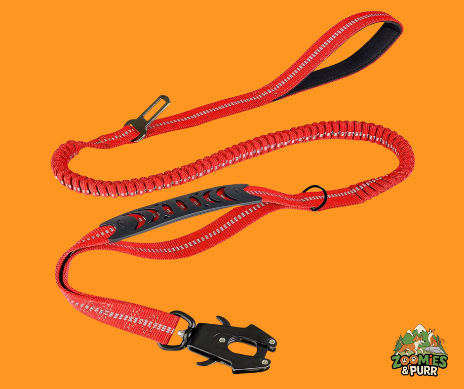 Sierra Tactical Leash - Fire Red