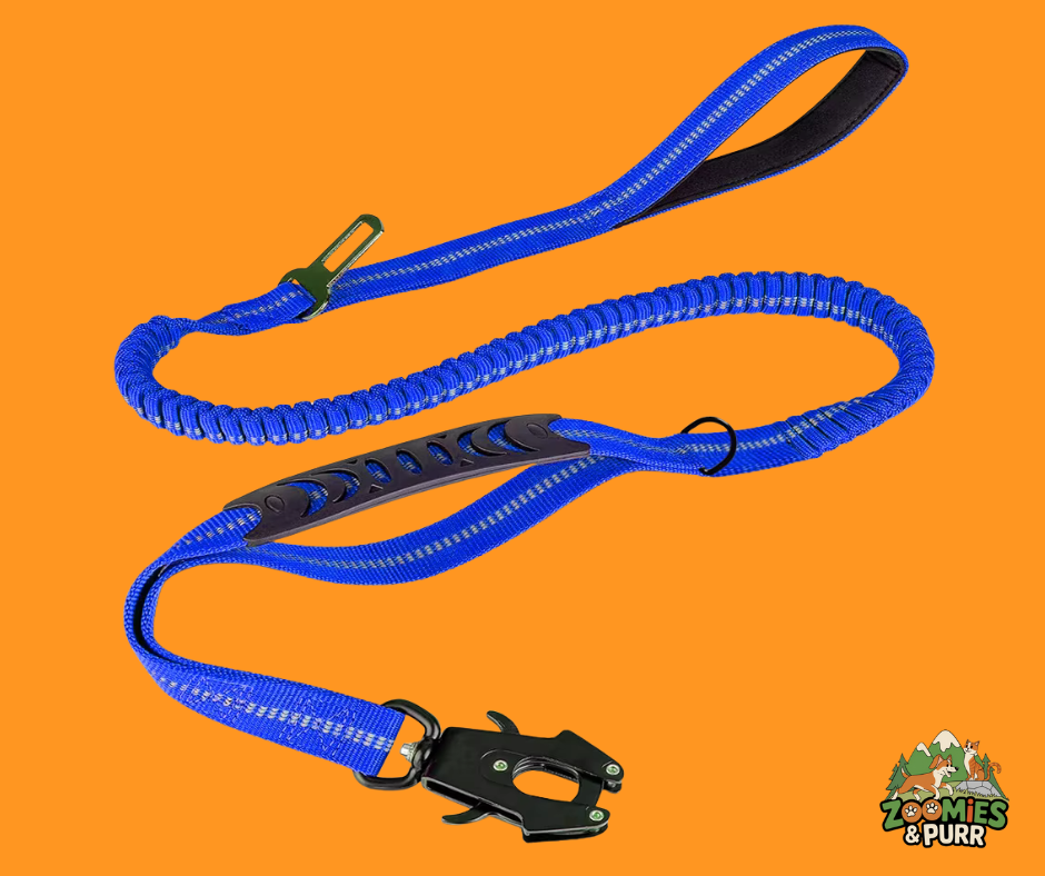 Sierra Tactical Leash - Dazzling Blue