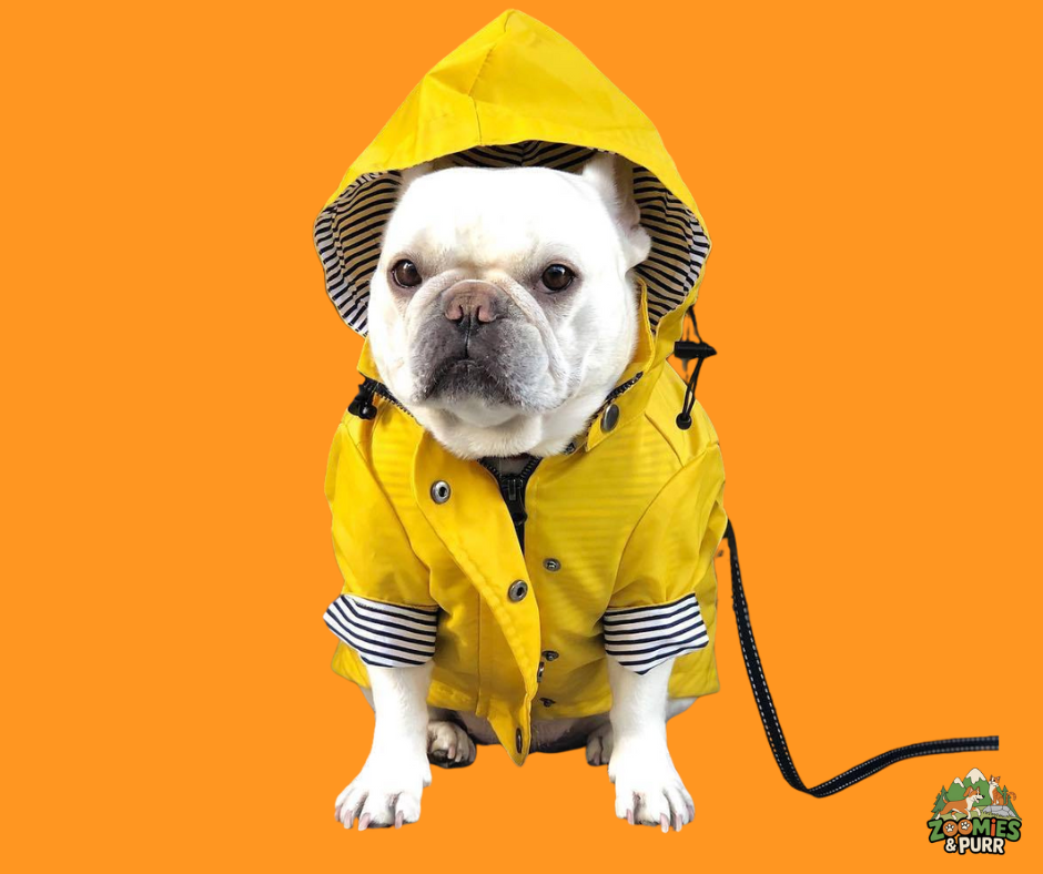 Sierra Stormy Weather Dog Rain Jacket - 4XL 24"