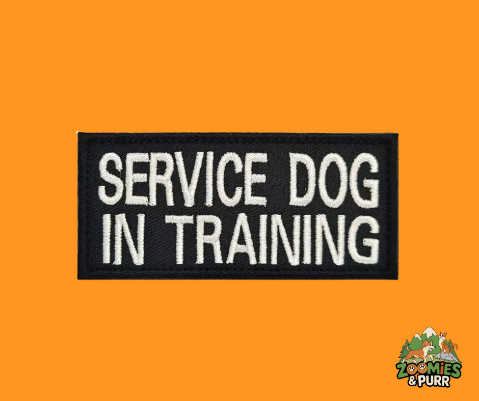 Sierra hook-and-loop (Velcro) patch - Service Dog In Training