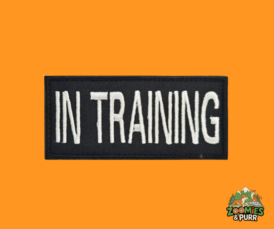 Sierra hook-and-loop (Velcro) patch - In Training