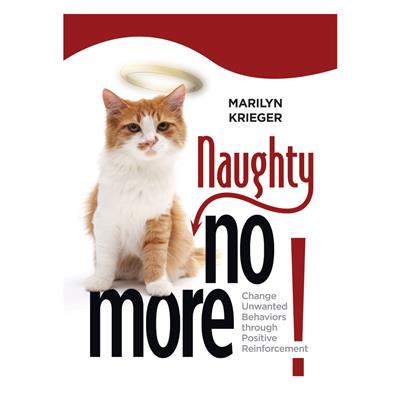 Naughty No More Book